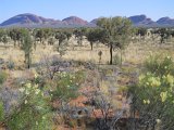 to Kata Tjuta